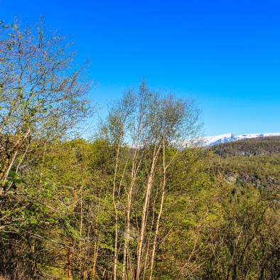 Berge nur Berge..